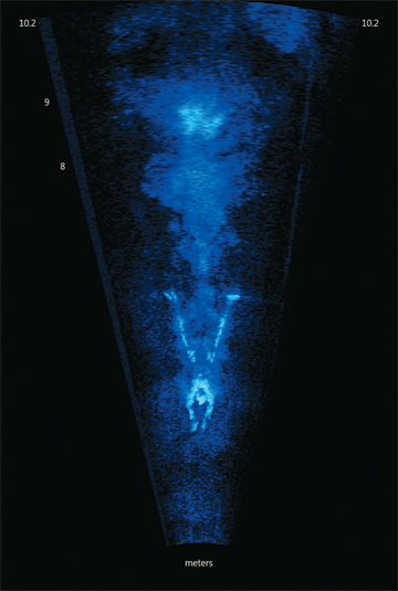 ARIS-1800-HF-Pool-Swimmer-at-5m-with-Bubble-Trail-revised-(1).jpg