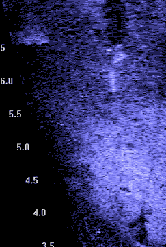 Swimmer without fins