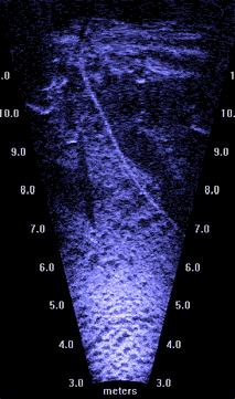 Shallow shore scan