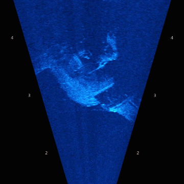 Sunken WWII Airplane Nacelle Detail