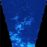 Aquarius captures school of fish