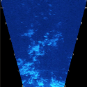 Aquarius captures school of fish